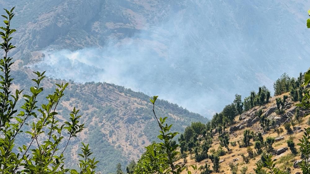 Şırnak'ta orman yangını söndürüldü