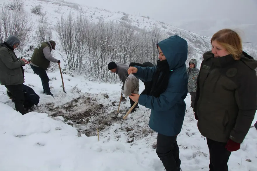 Anadolu'da varlığı sona ermişti! Avrupa'dan Amasya'ya getirildi: Türk uzmanlar 30 yıldır peşinde 3