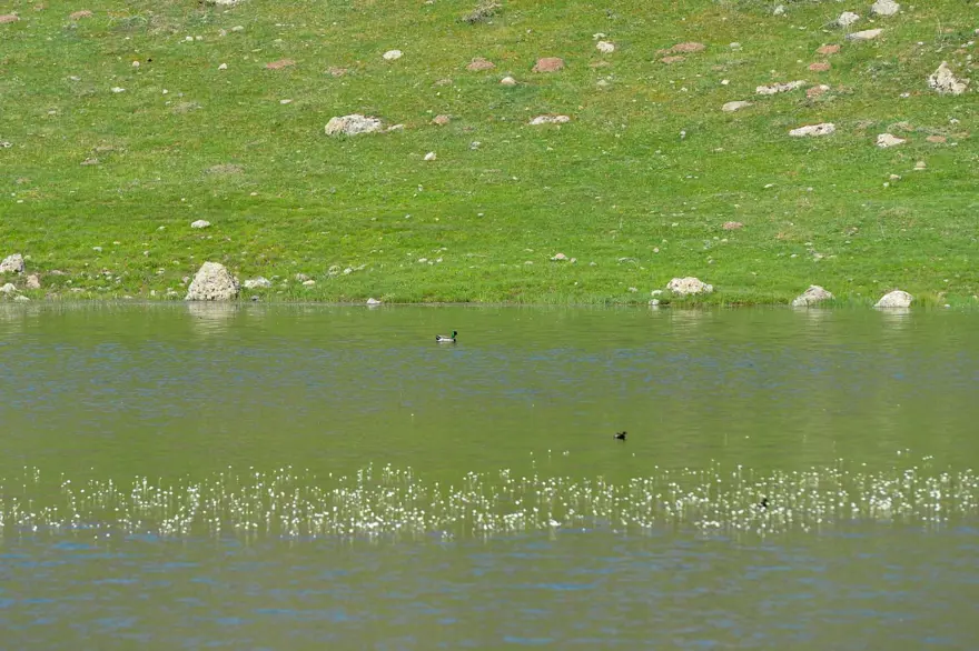 Sülüklü Göl'de ilkbahar renkleri 18