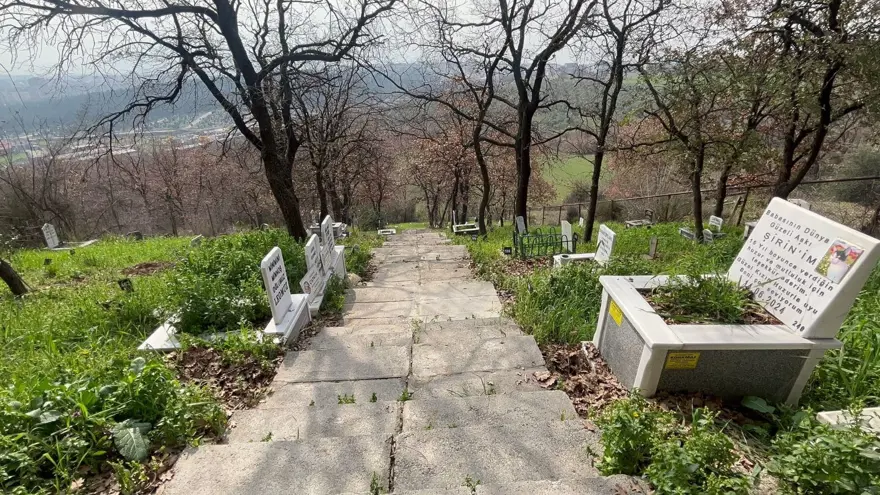 Evcil hayvanlara özel mezar yeri! Papağan da gömüldü, kuş da... "Bukalemun gömmek isteyen oldu" 5
