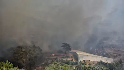 Mersin'de orman yangını