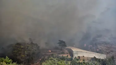 Mersin'de orman yangını