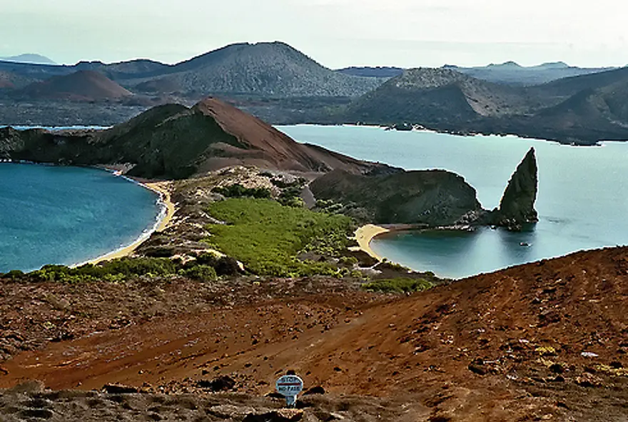 Darwin'in adasından kaçıyorlar 21