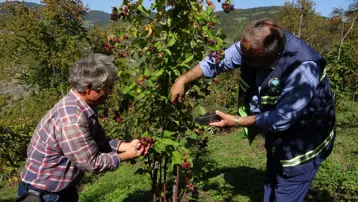 15 yıl önce köyüne döndü, üretmeye başladı: Doğanın şifasını sofralara taşıyor