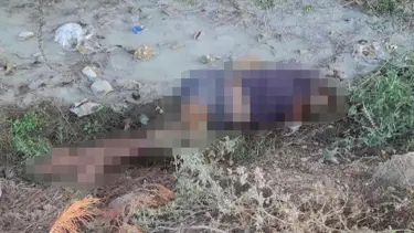 Adana'da dere kenarında kadın cesedi bulundu