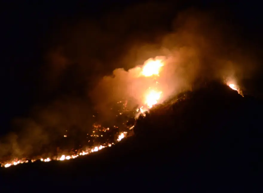 Bodrum'da yangın 10