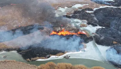 Dilkaya Sazlığı'nda yangın