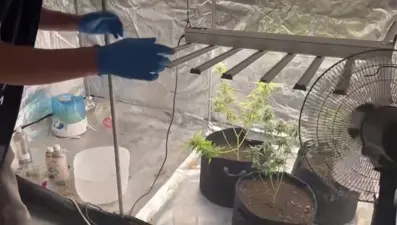 Malatya'da kilolarca kenevir ele geçirildi