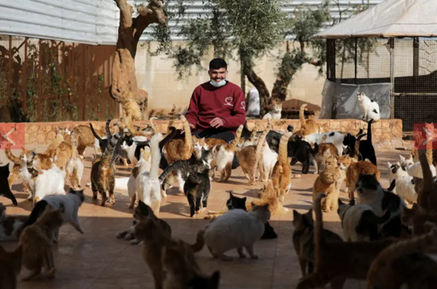 100 KEDİYLE BİRLİKTE İDLİB'E GELDİ 4