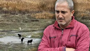 Ankara’da sahipsiz köpeklerin saldırısına uğrayan Tunahan’ın durumu iyiye gidiyor