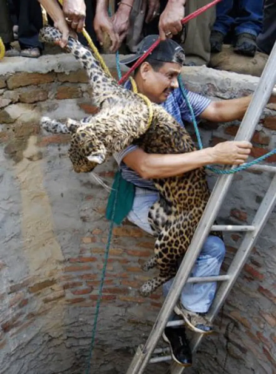 Gariplikler diyarı: Hindistan 29 Gariplikler diyarı: Hindistan 29