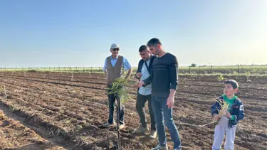 Mardin’de fıstık yetiştiriciliğine rağbet artıyor