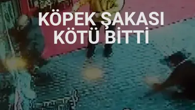 Köpekten kaçarken çarptığı cam kapı tuzla buz oldu