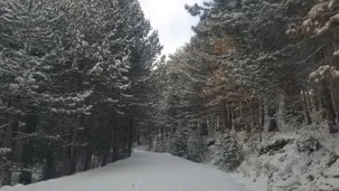 Kazdağı Milli Parkı beyaza büründü