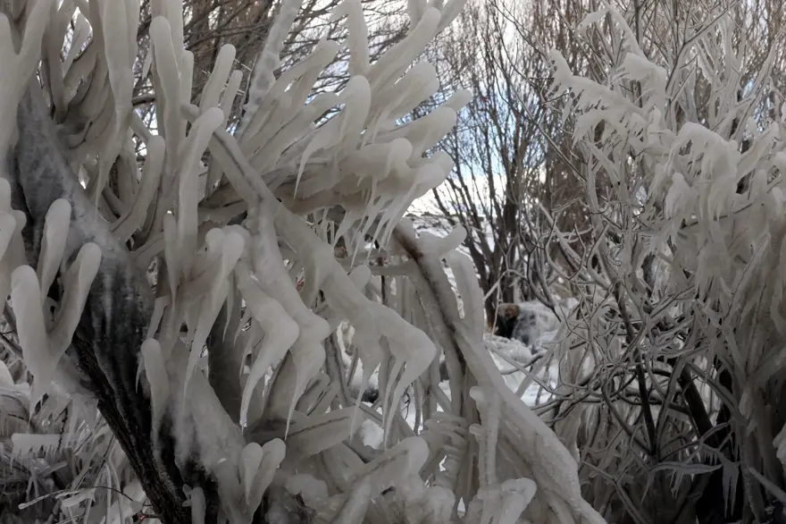 Antartika değil Çıldır Gölü: "Ağlayarak dondu" 5