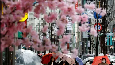 Japonya 2 yılın ardından sınırları açtı