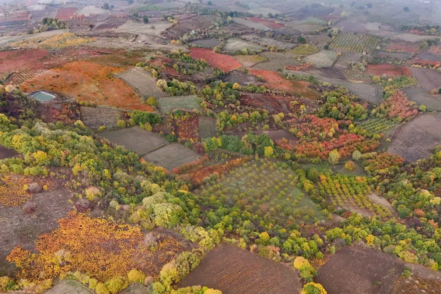 Eşsiz manzarası büyüledi: Doğal güzellik ortaya çıktı Eşsiz manzarası büyüledi: Doğal güzellik ortaya çıktı
