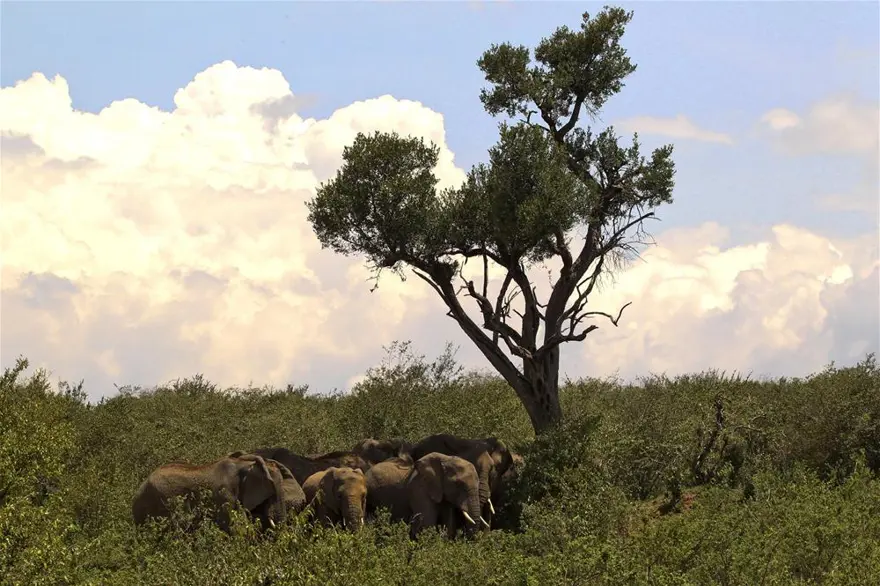 'Doğanın gözyaşı' 15