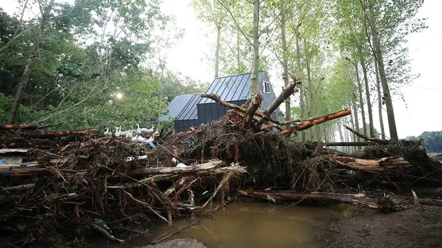 İğneada'da kaçak bungalov faciası: "Kuzu bile su birikintisinden kurtulurdu" savunması 8