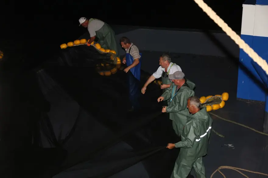 "TEK UMUDUMUZ HAMSİ" 9