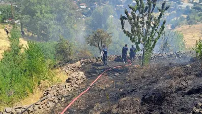 Bağlık alanda çıkan yangın korkuttu