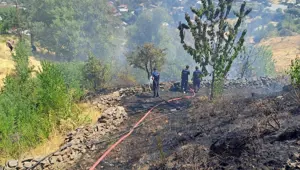 Bağlık alanda çıkan yangın korkuttu