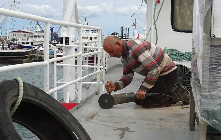 "BU SENE HAMSİ BOL OLACAK" 1