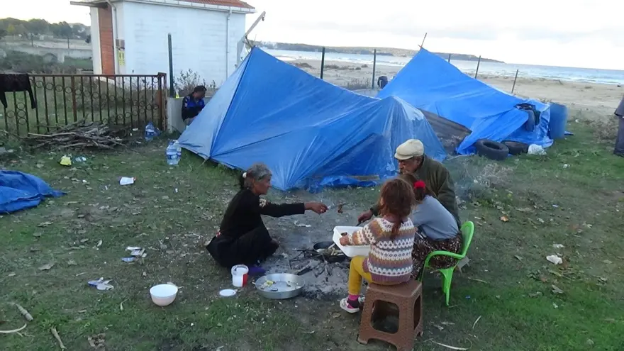 İstanbul'dan Sinop'a gelip toplamaya başladılar: 1 ay boyunca ormanda, dağlarda dolaşıyorlar 3
