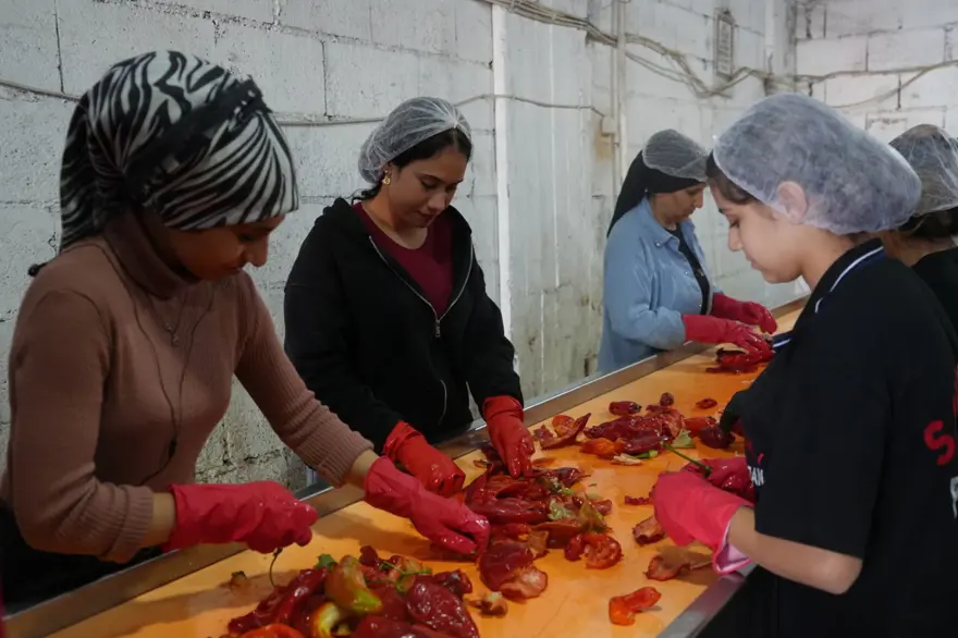 Gaziantep'te "acı" mesaisi: Türkiye'nin dört bir yanına gönderiliyor 2 Gaziantep'te "acı" mesaisi: Türkiye'nin dört bir yanına gönderiliyor 2