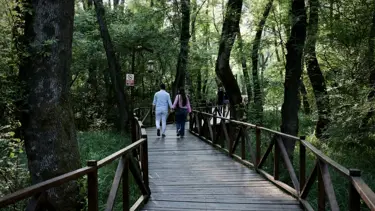 Çakırlar Korusu'ne ziyaretçiler akın ediyor