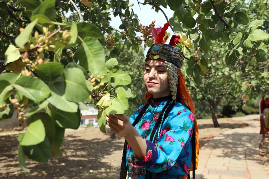 GastroAntep Festivali, fıstık hasadı ve şire yapımı ile başladı 