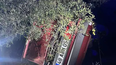 Şarampole devrilen araç ağaca çarptı: 2 kişi öldü