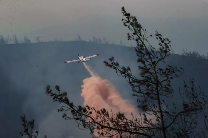 Cumhurbaşkanı Erdoğan: Marmaris'teki orman yangını büyük oranda kontrol altında 69