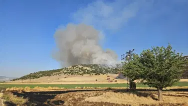 Anız yakan kişi suçüstü yakalandı