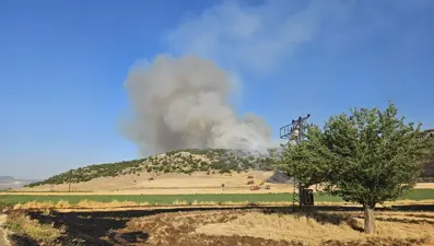 Anız yakan kişi suçüstü yakalandı