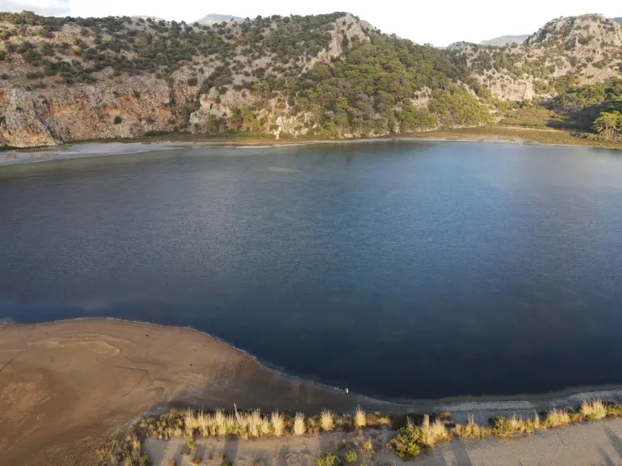 35 bin yavru caretta caretta denizle buluştu 1