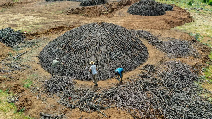 Ekmeklerini mangal kömüründen çıkarıyorlar 21