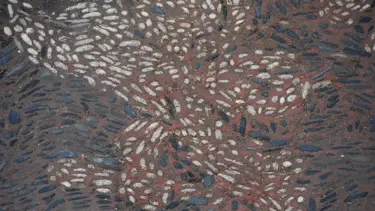 Sinop'ta Helenistik döneme ait olduğu değerlendirilen mozaik bulundu