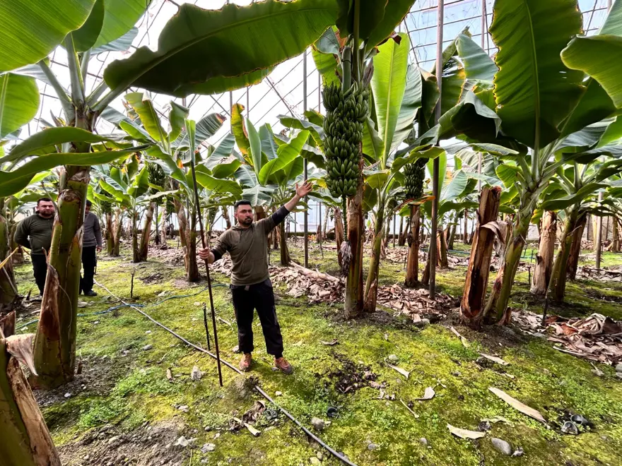 Kilosu 45 TL'den alıcı buluyor: Zirai don afeti etkilemişti 2