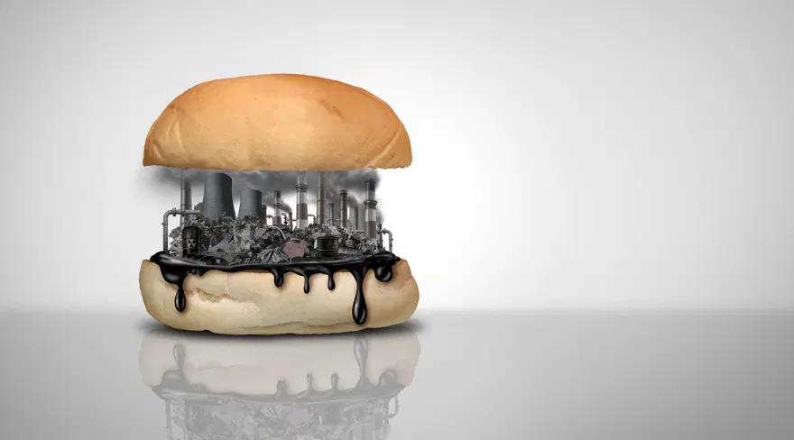 Kısırlık ve kanser yapıyor: Ünlü fast food markalarının ürünlerinin çoğunda zehirli kimyasallar bulundu 5