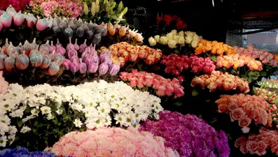 Anneler Günü ne zaman? 2025 Anneler Günü'ne kaç gün kaldı?