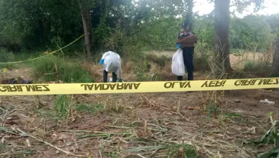 Tarlada kafatası ve kemikler bulundu, jandarma harekete geçti: Düzce'de sır ölüm