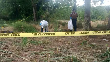 Tarlada kafatası ve kemikler bulundu, jandarma harekete geçti: Düzce'de sır ölüm