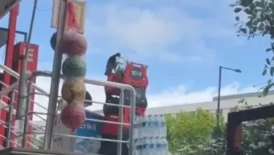 Martı marketten cips çaldı, esnaf 'çok acılı' diyerek uyardı