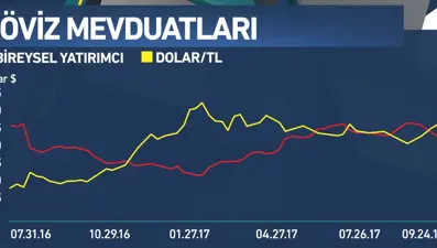 Bireysel yatırımcı satıyor şirketler alıyor (Piyasanın Rotası)