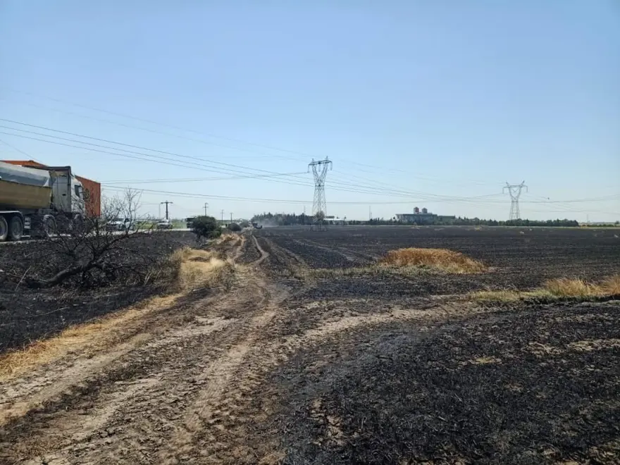 Tekirdağ’da buğday tarlasında yangın: 3 yaralı 1 Tekirdağ’da buğday tarlasında yangın: 3 yaralı 1