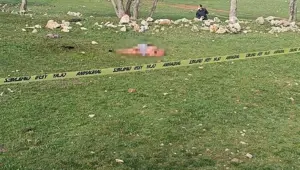 Çoban köpekleri yaşlı kadını öldürdü