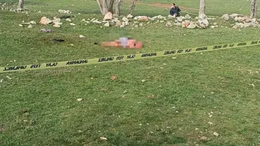 Çoban köpekleri yaşlı kadını öldürdü