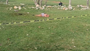 Çoban köpekleri yaşlı kadını öldürdü Çoban köpekleri yaşlı kadını öldürdü