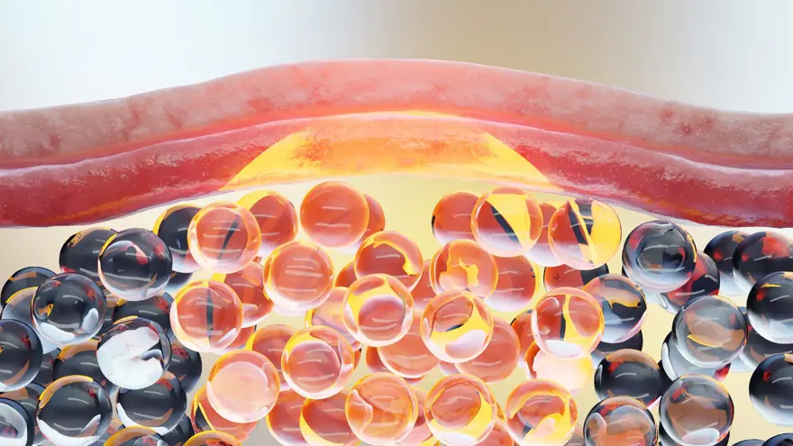 24 saat boyunca aç kalırsak ne olur? Vücuda etkileri inanılmaz 2 24 saat boyunca aç kalırsak ne olur? Vücuda etkileri inanılmaz 2